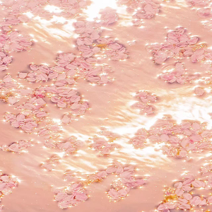 Japan海鸣馆Gay片
